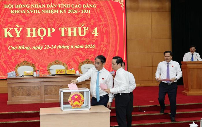 Đại biểu bỏ phiếu bầu bổ sung Ủy viên UBND tỉnh nhiệm kỳ 2026 - 2031.