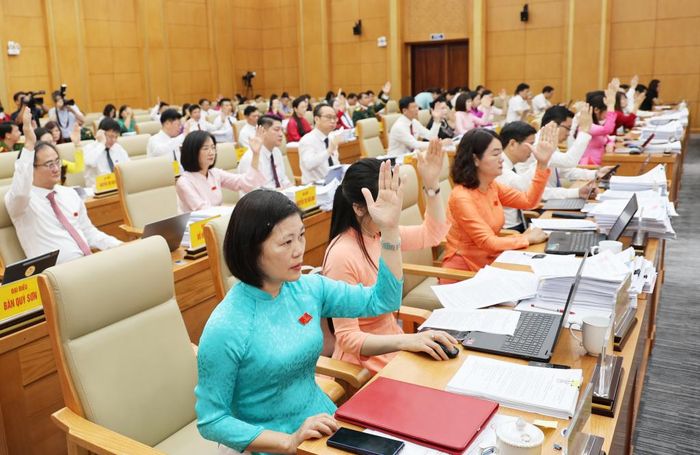 Đại biểu biểu quyết thông qua nghị quyết xác nhận kết quả bầu.