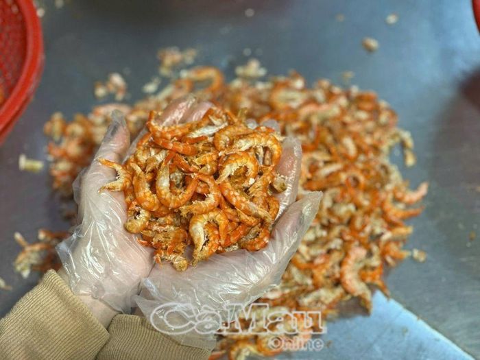 Tôm khô Cà Mau từ lâu được xem là một trong những đặc sản tiêu biểu, nổi tiếng của vùng đất Cà Mau, tạo dựng được uy tín và thương hiệu trên thị trường.