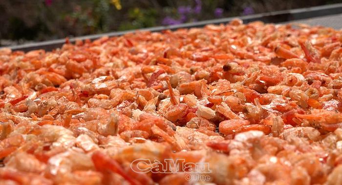 Ngành chức năng đang tích cực vào cuộc để xử lý nghiêm các trường hợp đưa thông tin sai sự thật làm tổn hại uy tín, thương hiệu sản phẩm tôm khô truyền thống của địa phương.