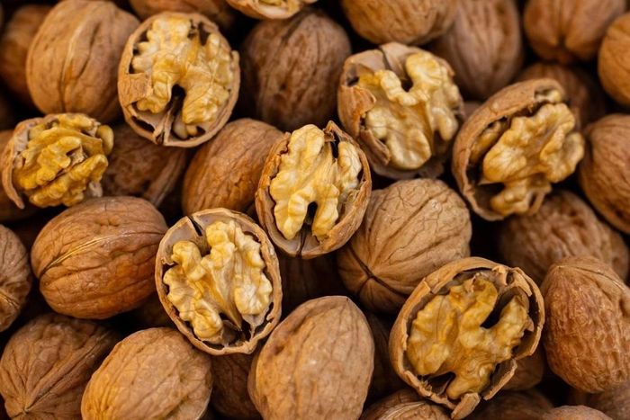 Óc chó là thực phẩm nuôi dưỡng não bộ. Ảnh minh họa