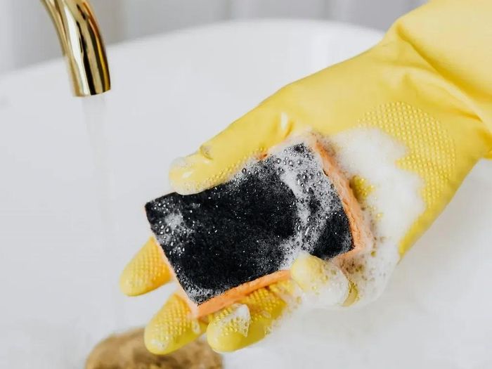 Miếng bọt biển rửa bát là một trong những đồ dùng chứa nhiều vi khuẩn nhất