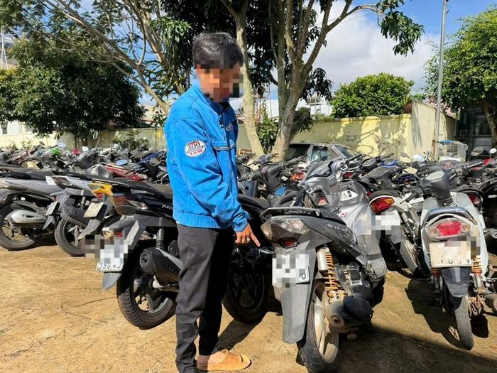 Đối tượng vi phạm và tang vật
