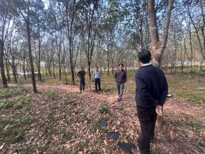 Phát triển nông nghiệp Đăk Tô luôn gắn với bảo vệ môi trường, môi sinh.