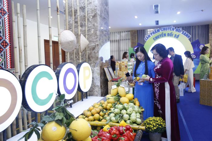 Nhiều sản phẩm khởi nghiệp của phụ nữ đã được các cấp Hội hỗ trợ đạt tiêu chuẩn OCCOP. Ảnh: Minh Trang