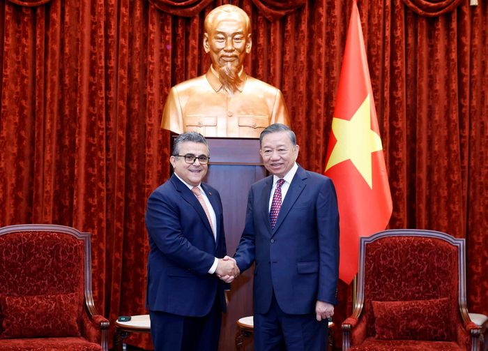 Tổng Bí thư, Chủ tịch nước Tô Lâm tiếp Đại sứ đặc mệnh toàn quyền Nhà nước Palestine Saadi Salama. Ảnh: Thống Nhất – TTXVN