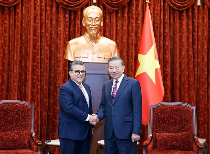 Tổng Bí thư, Chủ tịch nước Tô Lâm tiếp Đại sứ đặc mệnh toàn quyền Nhà nước Palestine Saadi Salama. Ảnh: Thống Nhất – TTXVN