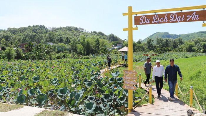 Xã Phú Ninh xây dựng điểm du lịch cộng đồng thôn Đại An sẽ trở thành điểm đến gắn với một số điểm du lịch trên địa bàn.
