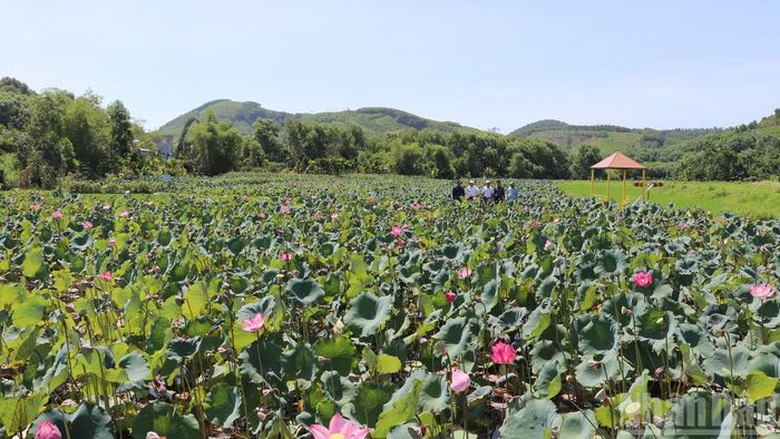 Du lịch cộng đồng Đại An phát triển đã làm thay đổi diện mạo nông thôn.