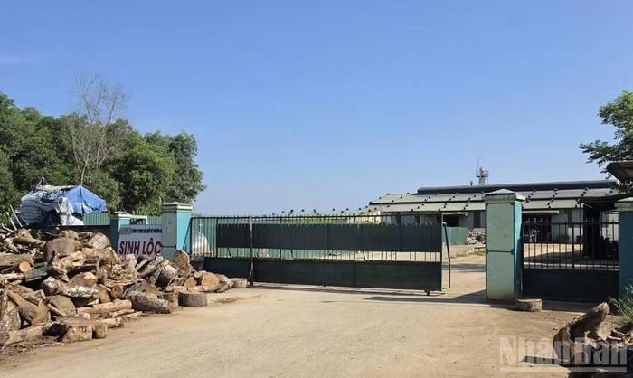 Xử lý nghiêm các trường hợp vi phạm ô nhiễm môi trường nâng cao ý thức chấp hành pháp luật của các doanh nghiệp.
