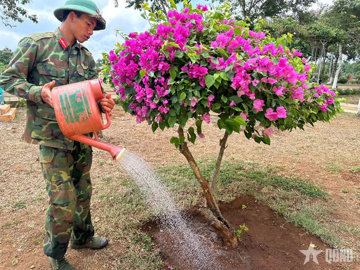 Chiến sĩ Trung đoàn 95 chăm sóc cây cảnh trong khuôn viên doanh trại. 