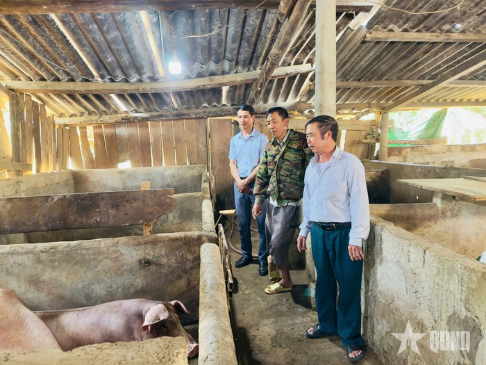 Lãnh đạo địa phương thăm mô hình chăn nuôi lợn của ông Phạm Văn Chiến.