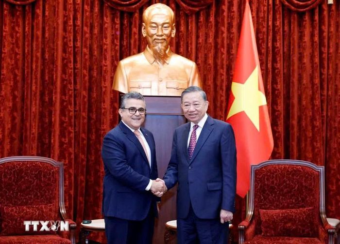  Tổng Bí thư, Chủ tịch nước Tô Lâm tiếp Đại sứ đặc mệnh toàn quyền Nhà nước Palestine Saadi Salama. Ảnh: TTXVN 