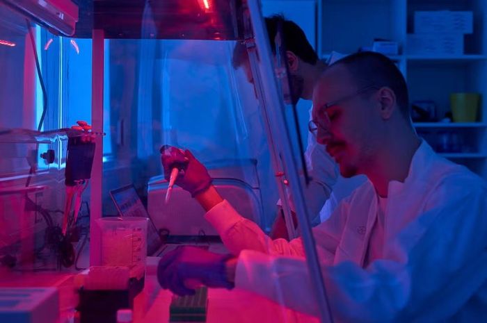 Các chuyên gia nhận định rằng nghiên cứu chống lão hóa là hướng đi có tiềm năng khoa học đáng kể, nhưng khoảng cách từ thành công trong phòng thí nghiệm đến việc tạo ra giải pháp an toàn cho con người vẫn còn rất xa, đòi hỏi thời gian, dữ liệu lâm sàng quy mô lớn và sự kiểm chứng nghiêm ngặt thay vì những canh bạc đầy rủi ro trên cơ thể của các tỷ phú khao khát sự bất tử.