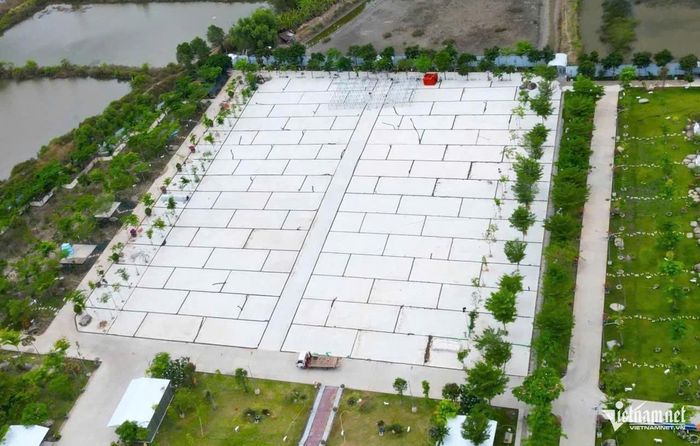 Để chuẩn bị cho thánh lễ tuyên phong Chân phước vào ngày 2/7 tới, khu đất 5ha đối diện nhà thờ Tắc Sậy đang được khẩn trương xây dựng lễ đài, dự kiến đón hơn 100.000 giáo dân và khách thập phương.