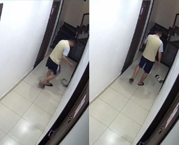 Hành động đá văng chú chó của thanh niên. Ảnh cắt từ clip 
