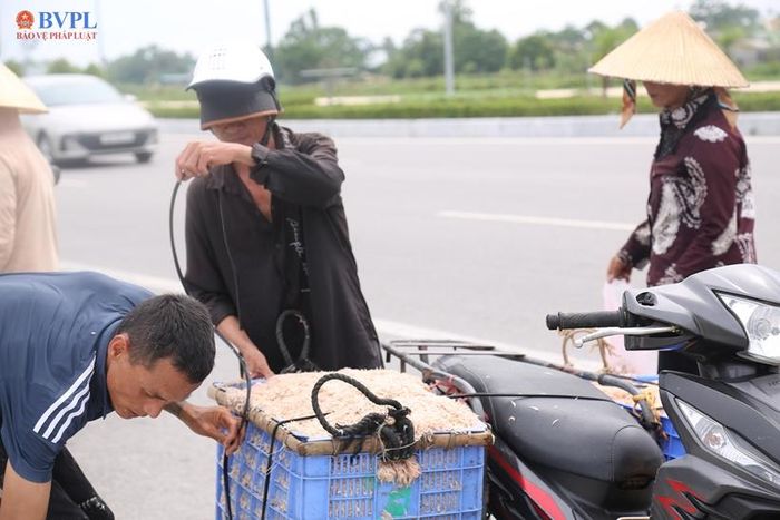  Nhiều người lớn tuổi đã theo nghề đánh bắt moi mấy chục năm.