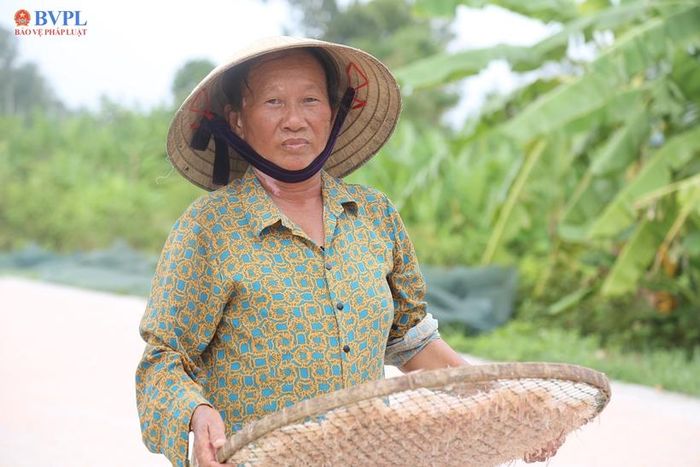  Bà Văn Thị Thọ (65 tuổi) theo bố mẹ làm nghề đánh bắt moi từ bé.