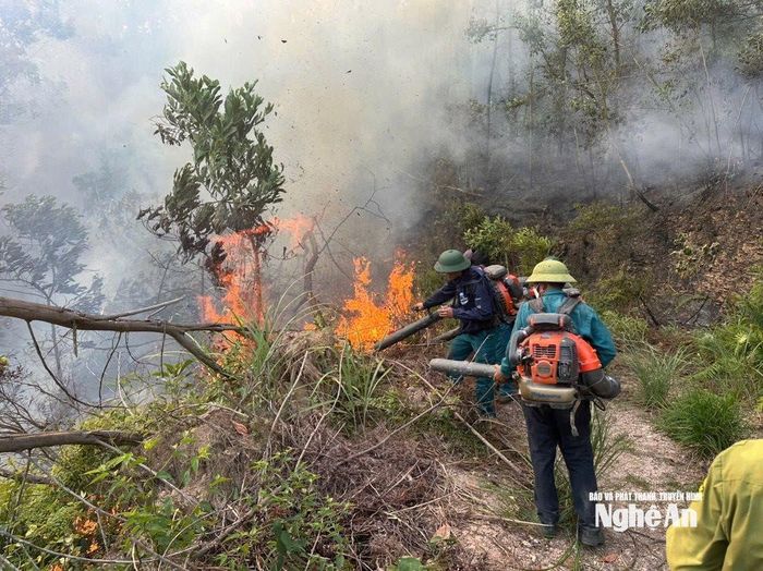 Vụ cháy rừng tại xã Thiên Nhẫn do không có đường băng cản lửa nên khó khăn trong công tác chữa cháy. Ảnh: CTV