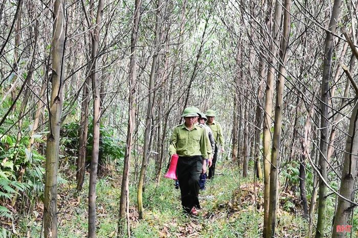 Cán bộ, nhân viên Đội BVR Rào Rồng tuần tra, kiểm tra các cánh rừng dễ cháy.
