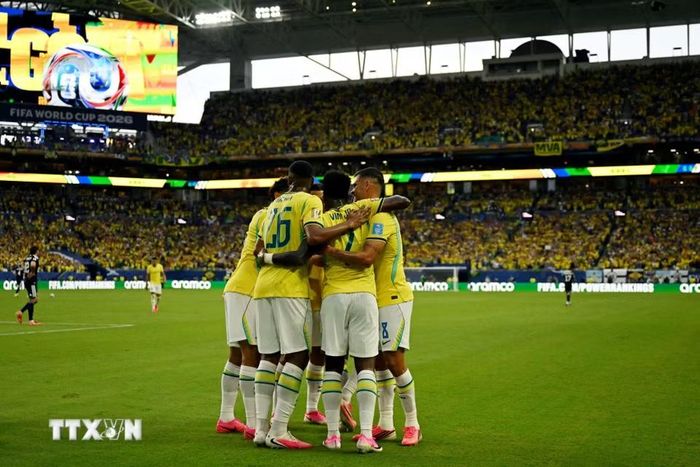 Brazil vào vòng knock-out với tư cách nhất bảng C cùng thành tích bất bại. (Ảnh: AFP/TTXVN)