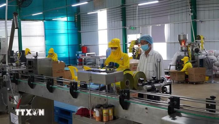 Mật độ doanh nghiệp tại Việt Nam hiện mới đạt khoảng 10 doanh nghiệp trên mỗi 1.000 dân. (Ảnh: Nhựt An/TTXVN)