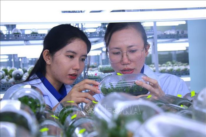 Khu Nông nghiệp Công nghệ cao TP Hồ Chí Minh là cái nôi cung cấp hàng triệu cây giống chất lượng cao cho khu vực và cả nước.