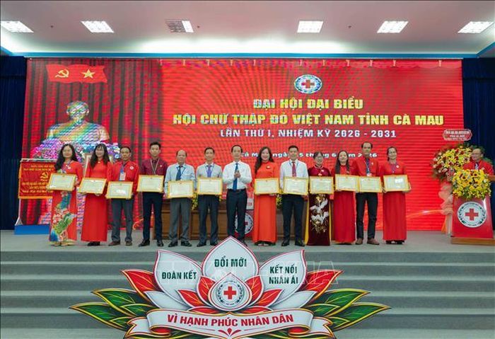 Phó Bí thư Tỉnh ủy, Chủ tịch Ủy ban MTTQ Việt Nam tỉnh Cà Mau Hồ Thanh Thủy trao bằng khen cho 2 tập thể, 10 cá nhân có thành tích xuất sắc.