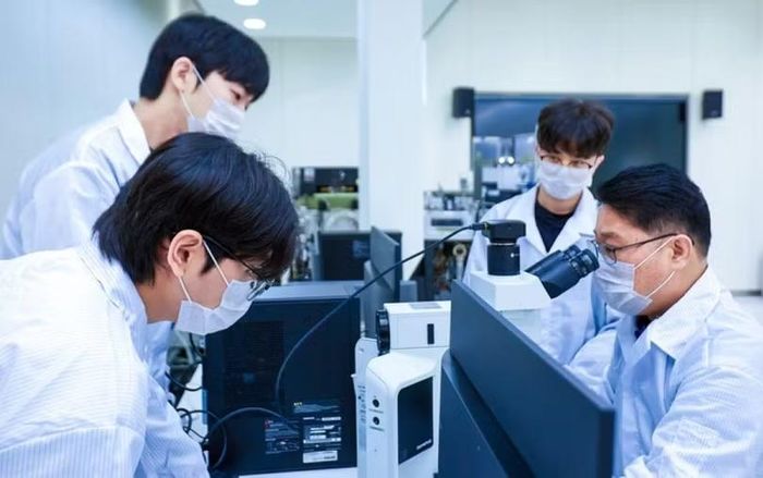 Thay vì bác sĩ, luật sư, nam giới trong nghề bán dẫn, công chức, nhân viên các tập đoàn lớn được chị em quan tâm hẹn hò hơn. Ảnh: Worldjournan.