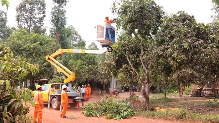 Lịch cắt điện Đồng Nai ngày mai 26/6 cập nhật mới nhất. Nguồn ảnh: pcdongnai.vn