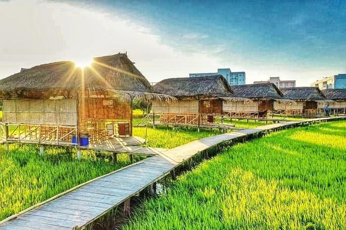 Khung cảnh yên bình ở xứ sở sen hồng.
