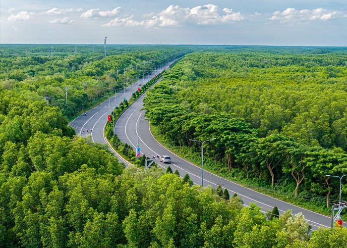 Cung đường Rừng Sác nối trung tâm TP.HCM với Cần Giờ