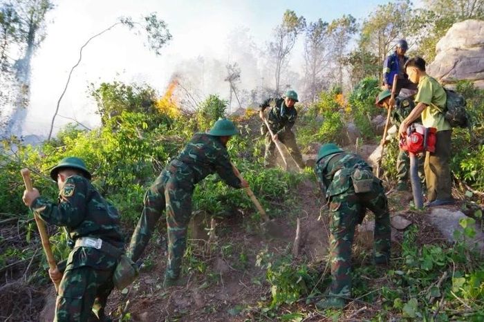 Các lực lượng đang tiếp tục chia thành nhiều mũi tiếp cận đám cháy từ nhiều hướng.