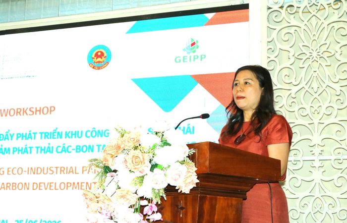 Bà Lê Thị Thanh Thảo, đại diện UNIDO tại Việt Nam phát biểu. Ảnh: Vương Thế