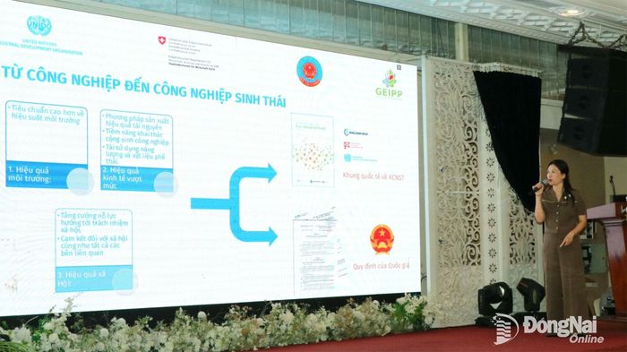 Chuyên gia của UNIDO trình bày tại hội thảo. Ảnh: Vương Thế