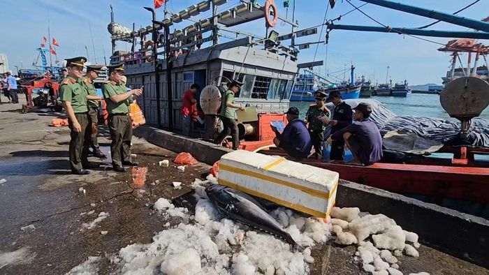 Mỗi khi có thông tin tàu cá đánh bắt xa bờ cập bến, CBCS Công an tỉnh Gia Lai lập tức có mặt để truyên truyền IUU.