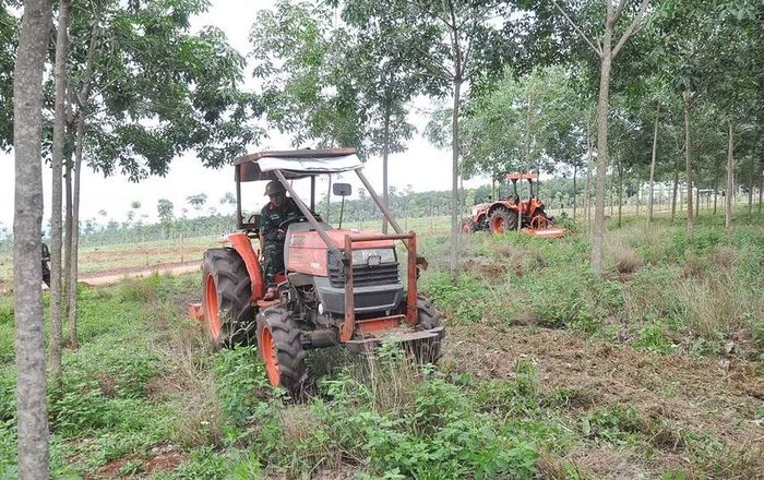  Nhờ máy móc hỗ trợ, công nhân giảm được nhiều ngày công nặng nhọc, nâng cao năng suất lao động và tăng thu nhập. Ảnh: P.N 