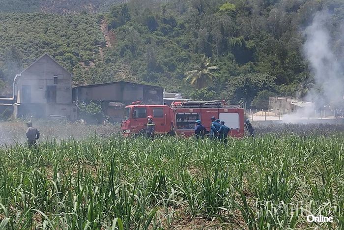 Một xe chữa cháy được huy động đến hiện trường hỗ trợ dập lửa.