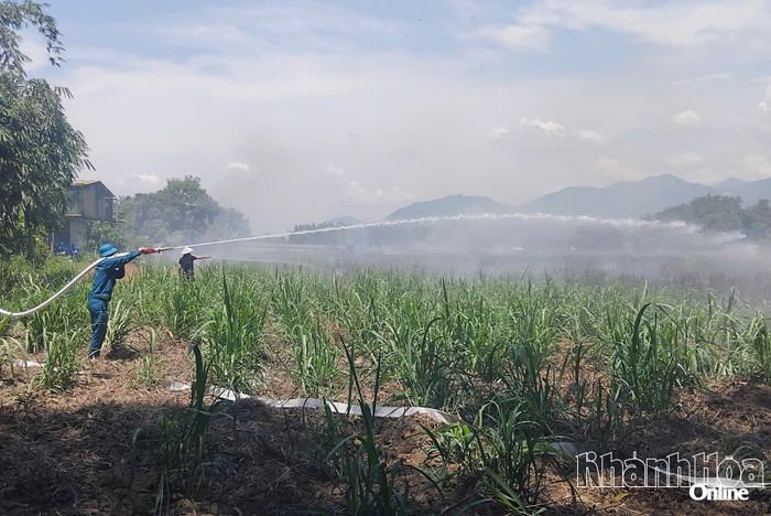 Các lực lượng phun nước chữa cháy.