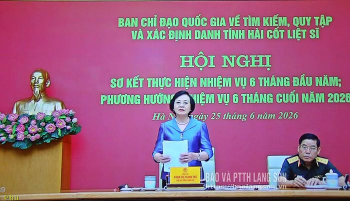 Phó Thủ tướng Chính phủ Phạm Thị Thanh Trà phát biểu chỉ đạo hội nghị