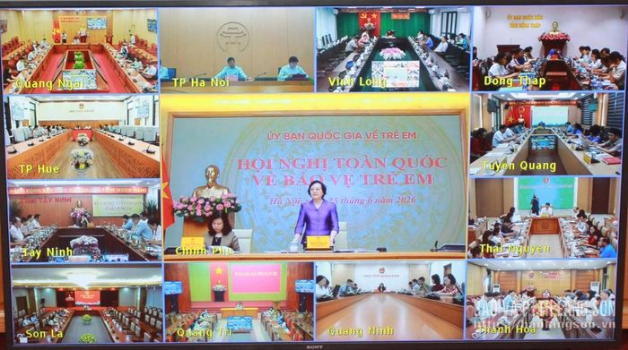 Phó Thủ tướng Chính phủ Phạm Thị Thanh Trà phát biểu kết luận và chỉ đạo hội nghị