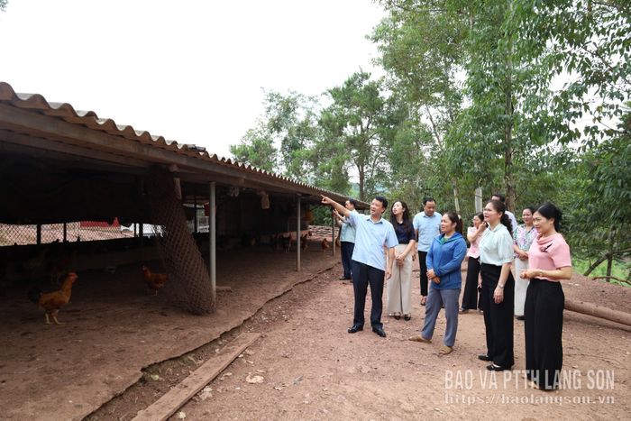 Đoàn công tác kiểm tra thực tế mô hình phát triển sản xuất tại xã Châu Sơn