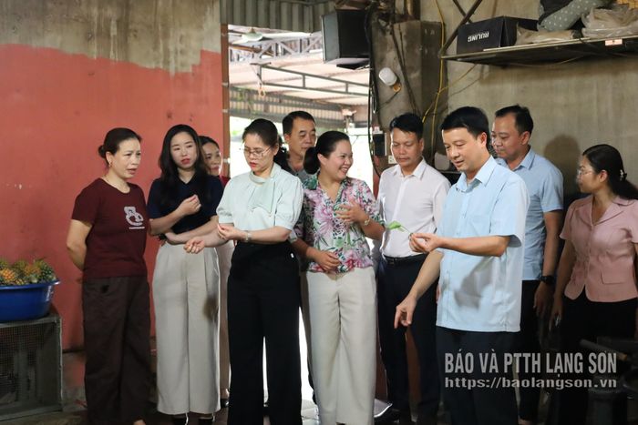 Đoàn công tác kiểm tra thực tế mô hình sản xuất tại xã Thái Bình