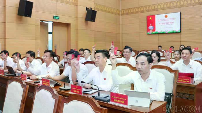Các đại biểu HĐND tỉnh biểu quyết thông qua nghị quyết tại kỳ họp thứ 2.