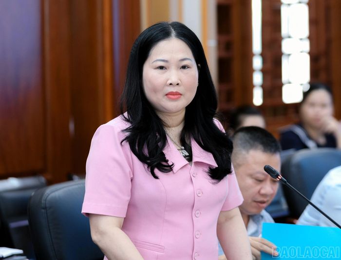 Đồng chí Vũ Thị Hiền Hạnh, Phó Chủ tịch UBND tỉnh phát biểu tại buổi làm việc.