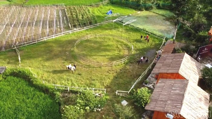 Trải nghiệm cưỡi ngựa giữa không gian núi đồi Bắc Hà để lại nhiều ấn tượng cho du khách.