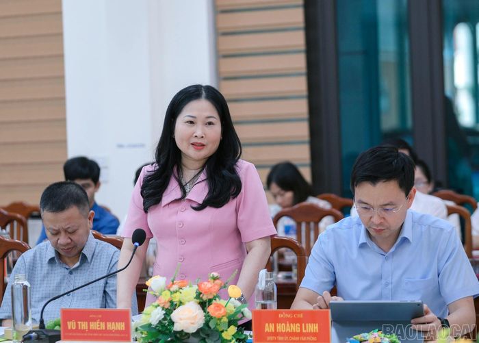 Đồng chí Vũ Thị Hiền Hạnh, Phó Chủ tịch UBND tỉnh phát biểu tại buổi làm việc.