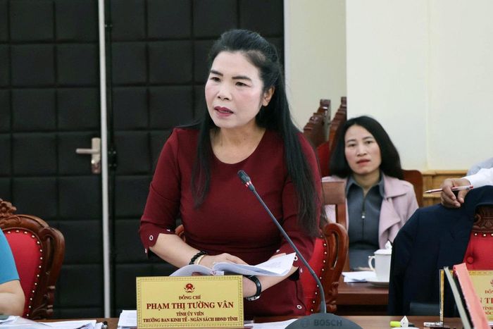Đồng chí Phạm Thị Tường Vân, Tỉnh ủy viên, Trưởng Ban Kinh tế - Ngân sách HĐND tỉnh thông qua các tờ trình tại phiên họp