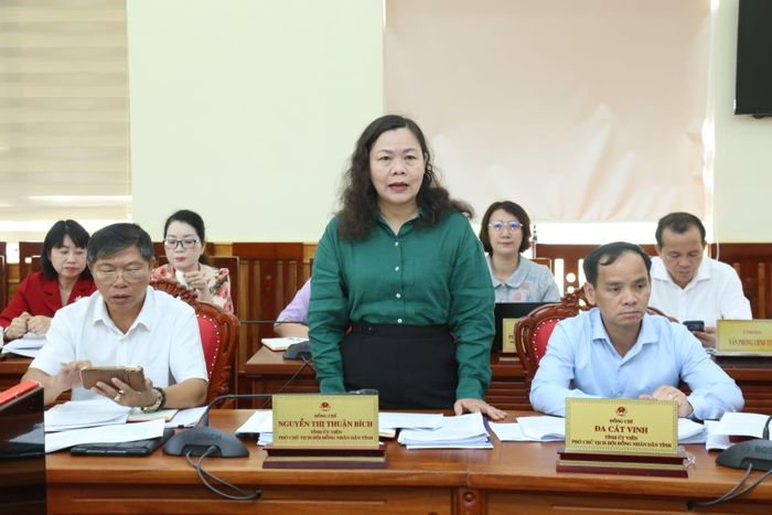 Đồng chí Nguyễn Thị Thuận Bích, Tỉnh ủy viên, Phó Chủ tịch HĐND tỉnh, Trưởng Ban Văn hóa - Xã hội HĐND tỉnh phát biểu tại phiên họp