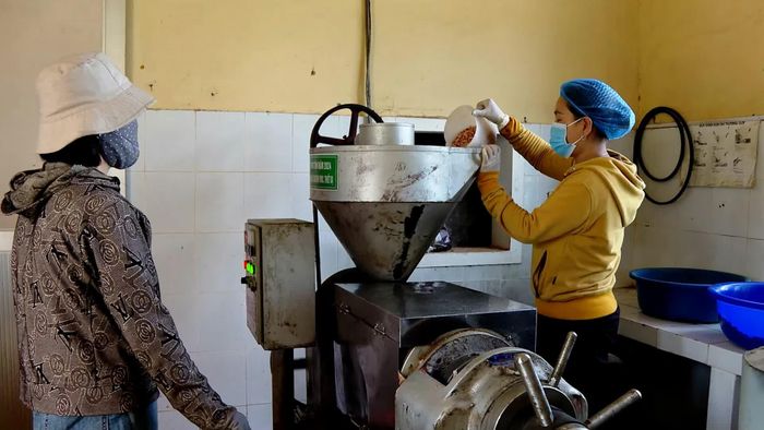Chế biến dầu lạc nguyên chất tại Hợp tác xã nông nghiệp và xây dựng Thiên Phú - Ảnh: L.A